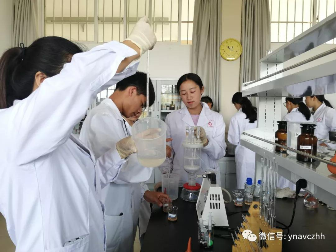 学生进行检验实训
